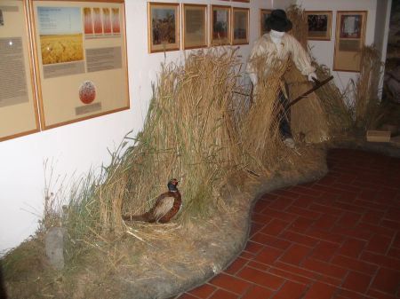 Brotmuseum Bad Tatzmannsdorf